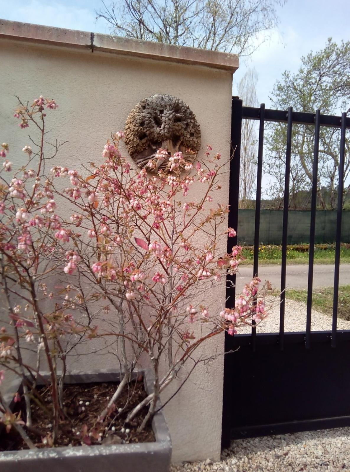 Bed and Breakfast Le Repos Coquelicot Montillot Esterno foto